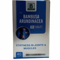 Burnett Bambusa Arundinacea 1X Tablets – Homeopathic Support for Bone and Joint Health